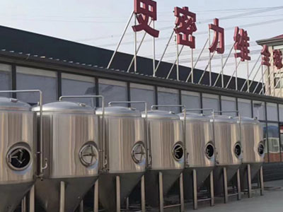 舟山精酿啤酒设备厂—如何判断精酿啤酒设备的密封件需要更换？